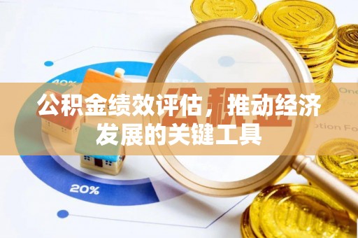 湖滨公积金绩效评估，推动经济发展的关键工具