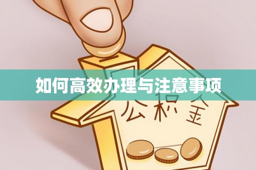 湖滨如何高效办理与注意事项