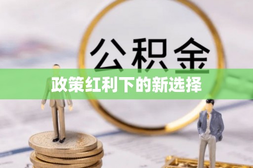 湖滨政策红利下的新选择