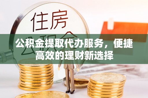 湖滨公积金提取代办服务，便捷高效的理财新选择
