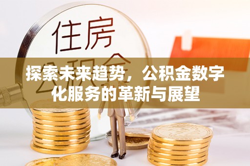 湖滨探索未来趋势，公积金数字化服务的革新与展望