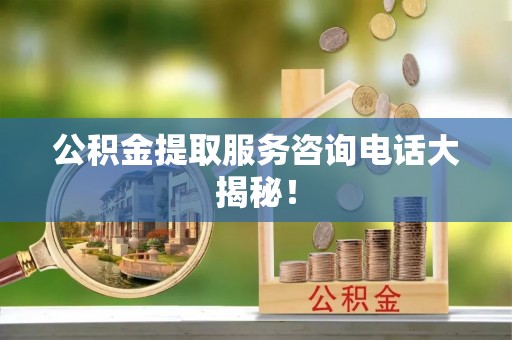 湖滨公积金提取服务咨询电话大揭秘！