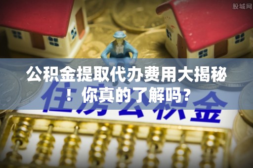 湖滨公积金提取代办费用大揭秘！你真的了解吗？