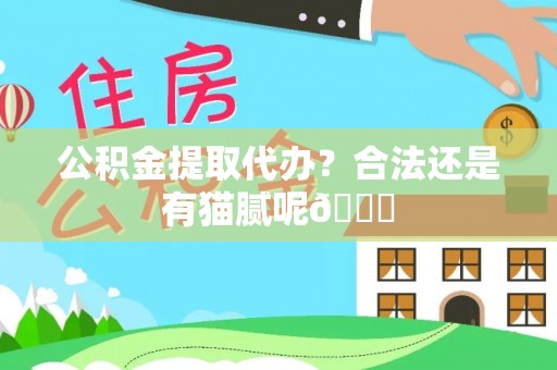 湖滨公积金提取代办？合法还是有猫腻呢😏