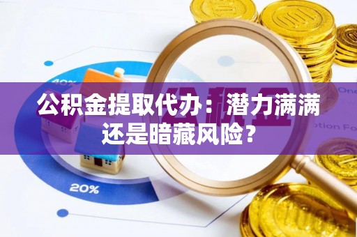 湖滨公积金提取代办：潜力满满还是暗藏风险？