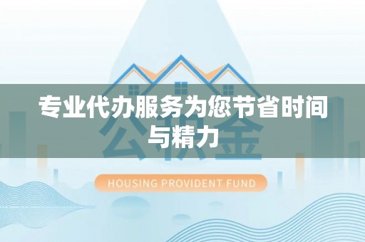 湖滨专业代办服务为您节省时间与精力