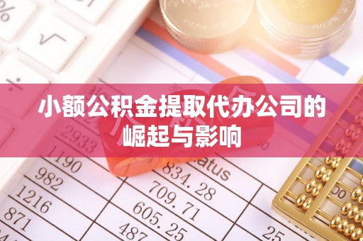 湖滨小额公积金提取代办公司的崛起与影响